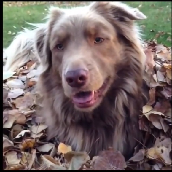 Meet your Posher, Kylee - Picture 1 of 1